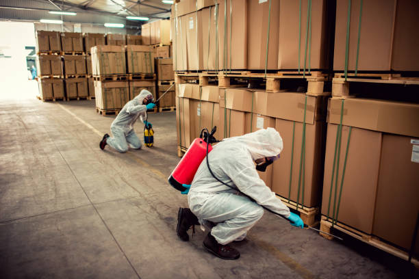 Best Pest Control Near Me  in Potosi, TX