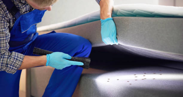 Pest Prevention Services in Potosi, TX