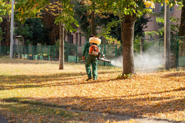 Best Exterminator Services  in Potosi, TX