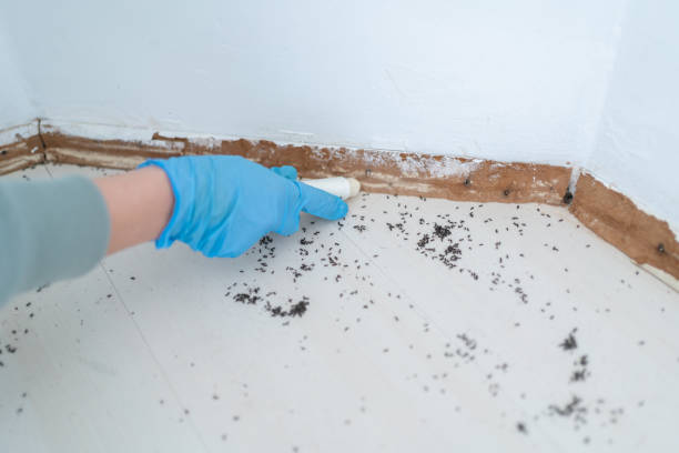Best Pest Prevention Services  in Potosi, TX
