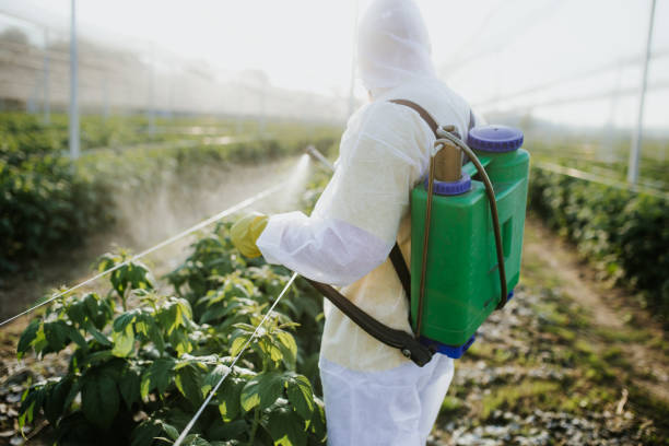 Best Flea Control Services  in Potosi, TX